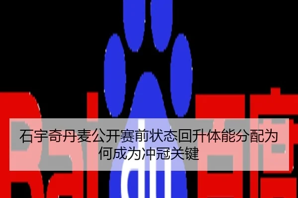 石宇奇丹麦公开赛前状态回升体能分配为何成为冲冠关键