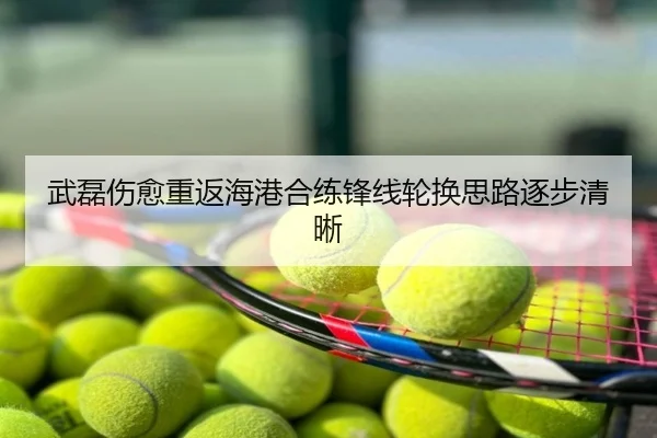 武磊伤愈重返海港合练锋线轮换思路逐步清晰